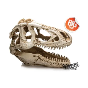 Cabeza T-Rex XXL Nº343 - 39X19X29Cm