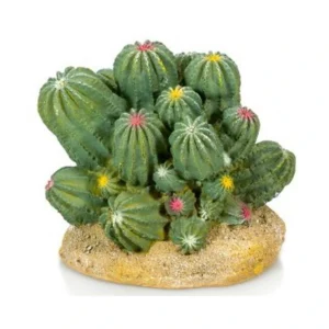 Decoración cactus varios