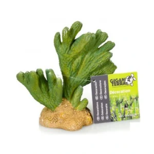 Cactus 3 Nº296 – 13X6.5X13Cm