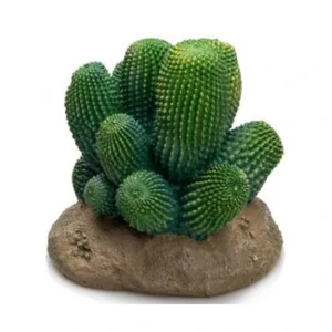 Cactus Nº342 - 12 x 12 x 13 cm
