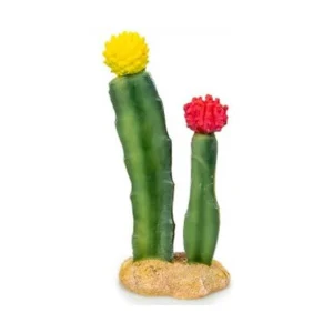Decoración cactus con flores