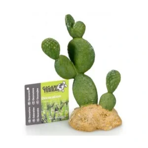 decoracion cactus