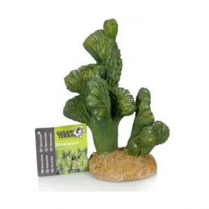 Cactus 8 Nº324 – 13X11X18Cm