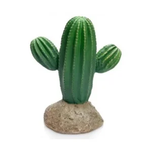 Cactus Nº 340 - 14X9X17Cm