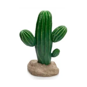 Cactus Nº339 - 17X13X24,5Cm