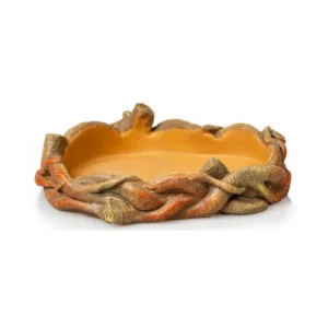 Comedero bebedero para reptiles