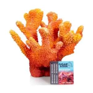 Coral 1 Nº677 – 22 X 18 X 18 Cm