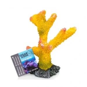 Coral 2 Nº678 – 13 X 12 X 18 Cm