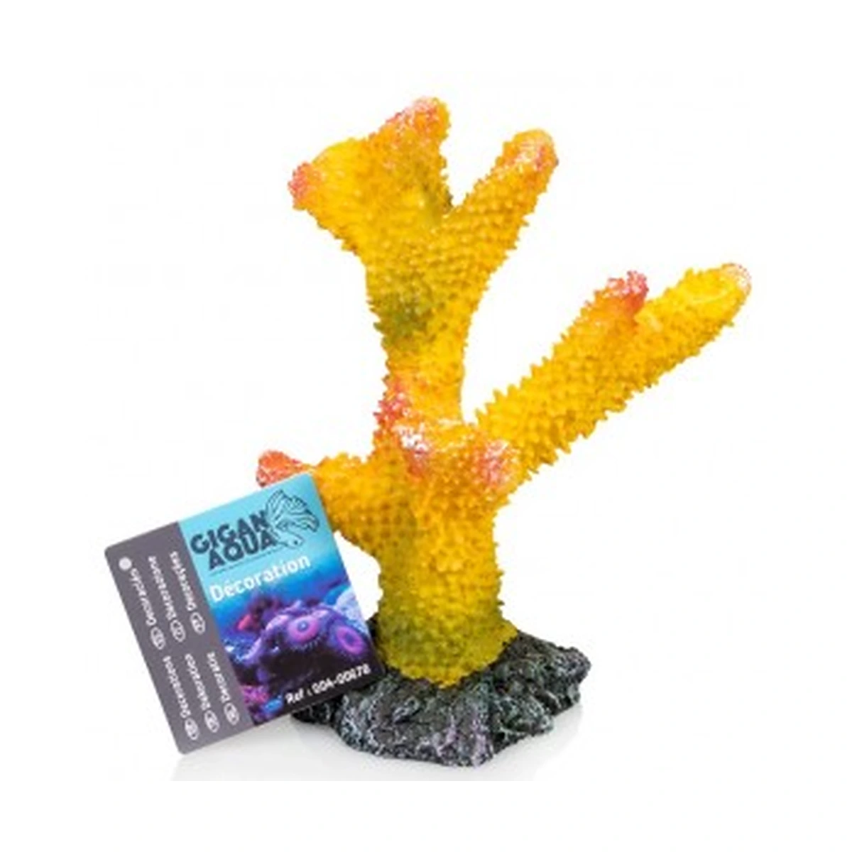 Coral 2 Nº678 – 13 X 12 X 18 Cm