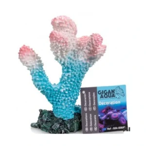 Coral 4 Nº680 – 10 X 5 X 16 Cm