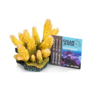 Coral 5 Nº684 – 12 X 10 X 9 Cm