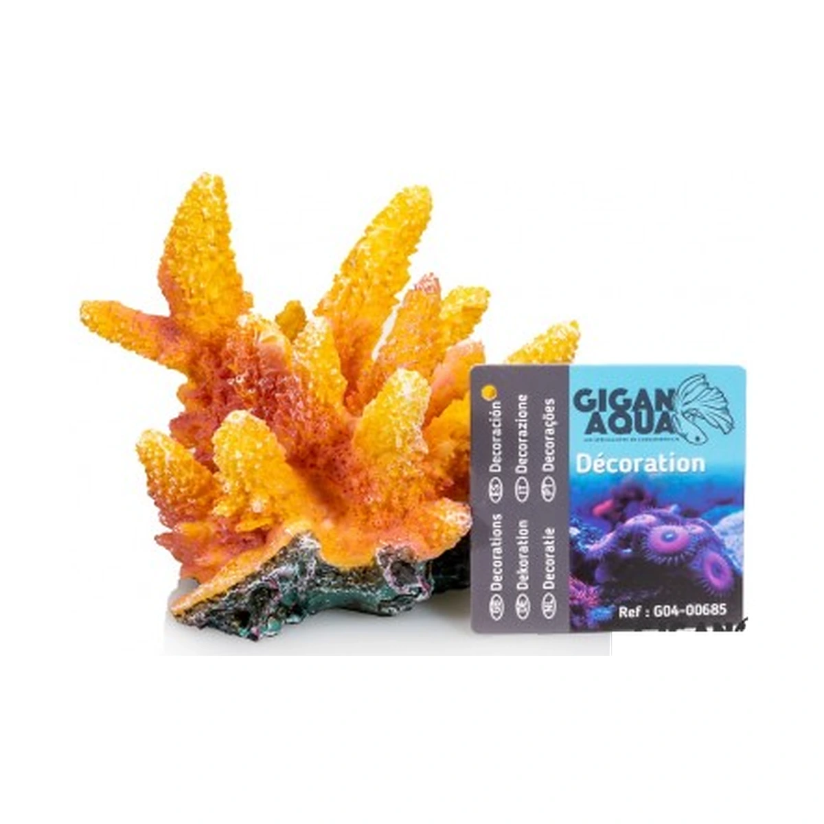 Coral 6 Nº685 – 12 X 10 X 9 Cm