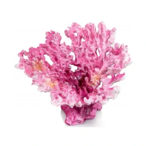 Coral 7 Nº688 – 20 X 18 X 13 Cm