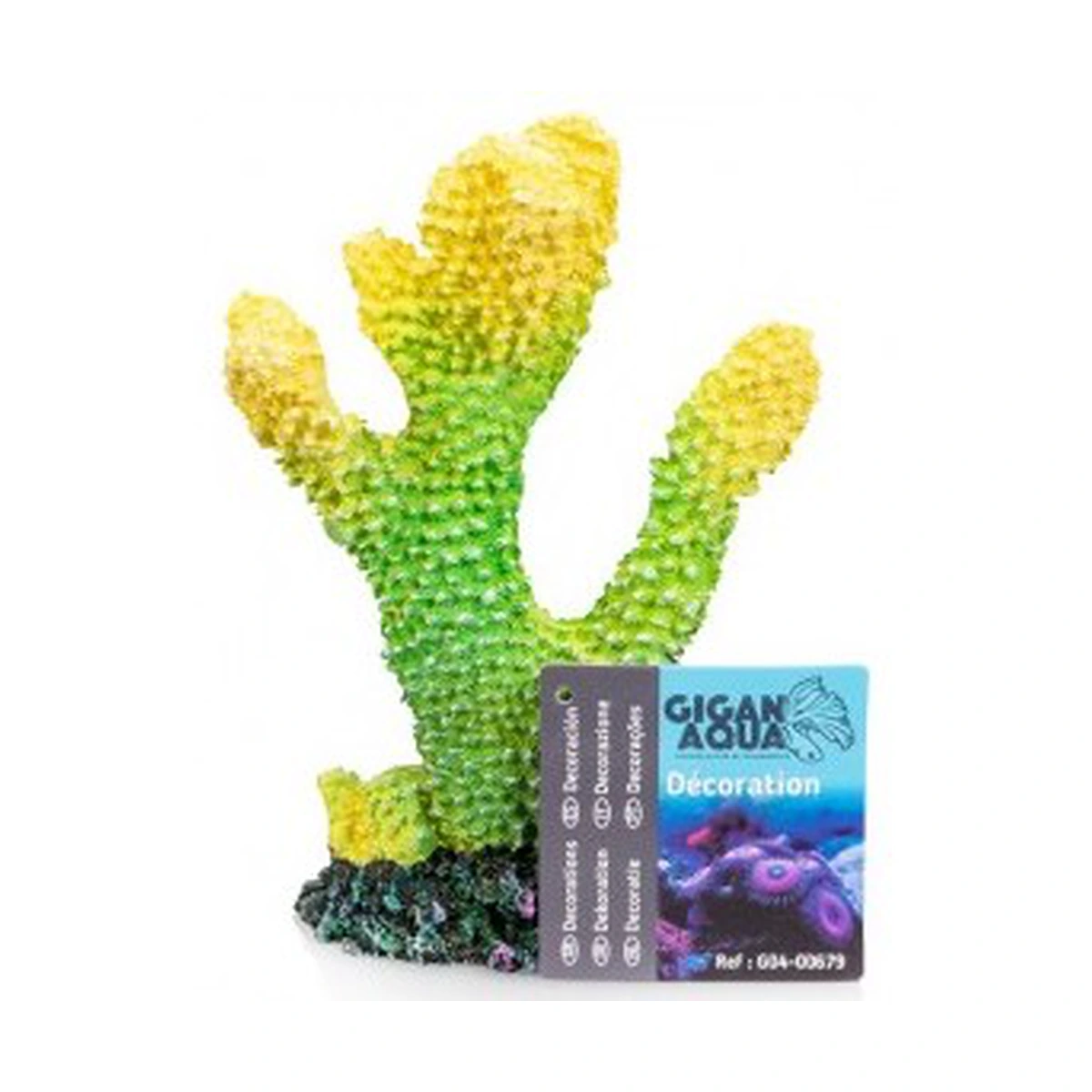Coral Nº3 Nº679 – 10 X 5 X 16 Cm