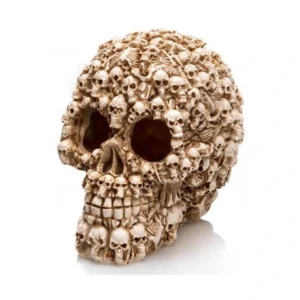 Craneo Calaveras Nº707 - 15 X 11 X 12.5Cm