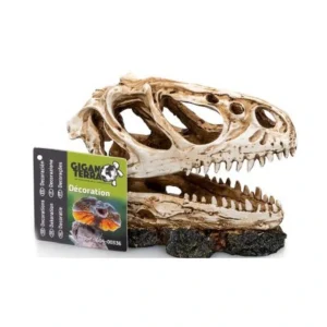 Cráneo Dinosaurio Nº336 – 13 X 6 X 11 Cm 6,30€