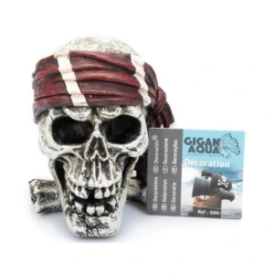 Craneo Pirata Nº602 – 10 X 10.5 X 11 Cm