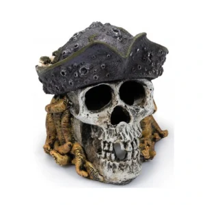 Craneo Pirata Nº606 – 15 X 13 X 14 Cm