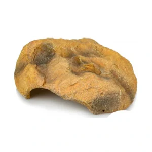 Cueva Nº824 - 27,3 x 22,5 x 9,8 cm