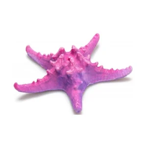 Estrella de mar decorativa rosa