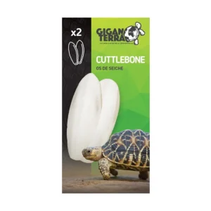 Hueso Jibia Reptil Nº800