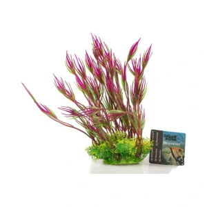 Planta Nº 538 – 18 – 22Cm