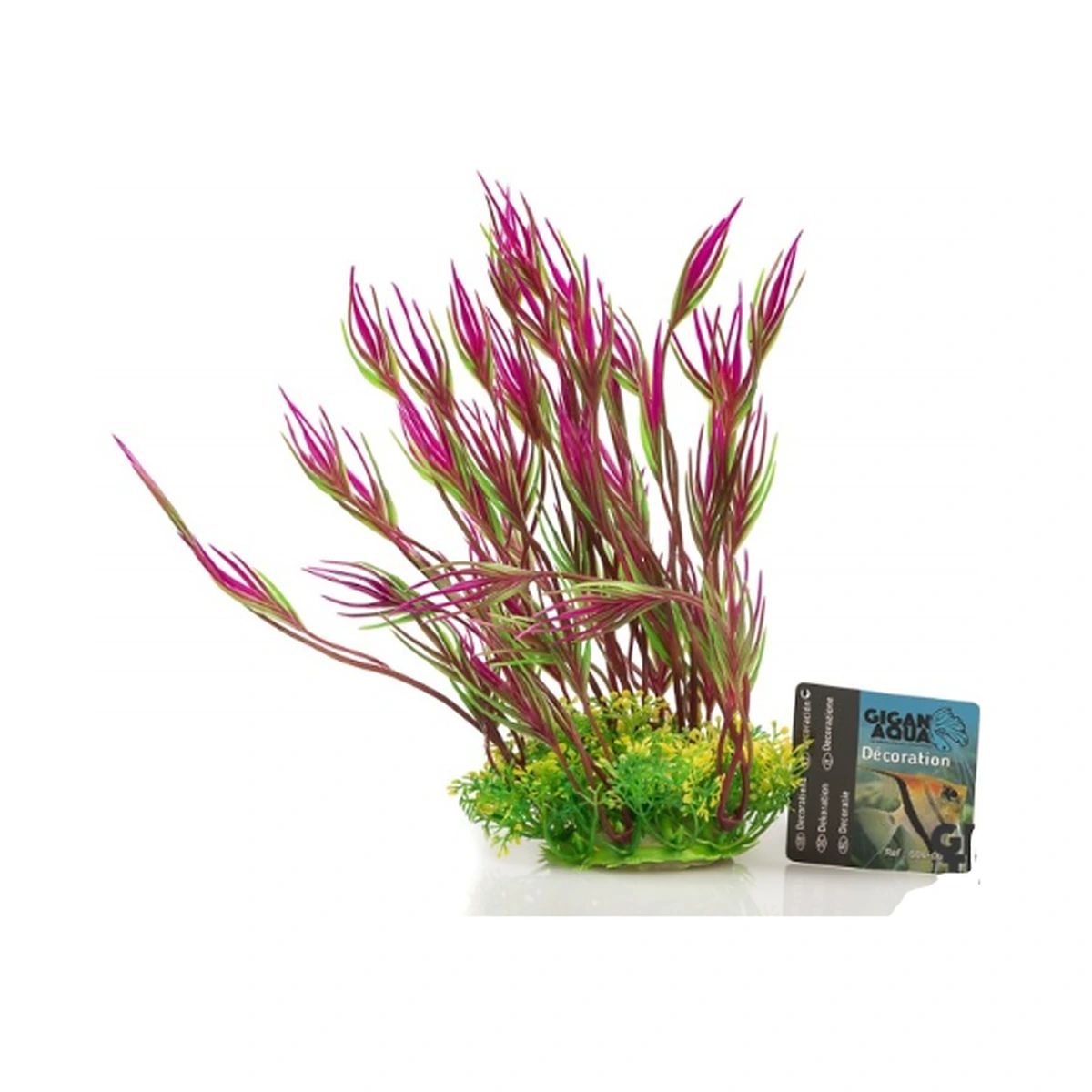 Planta Nº 538 – 18 – 22Cm