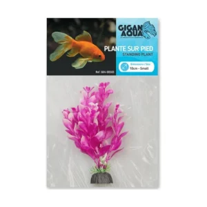 Planta Nº503 – 10Cm