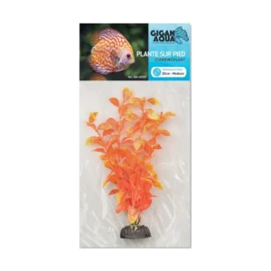 Planta Nº507 – 20Cm