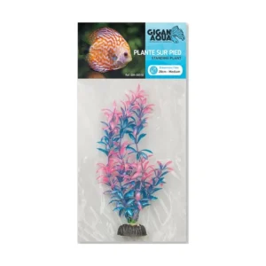 Planta Nº510 – 20Cm