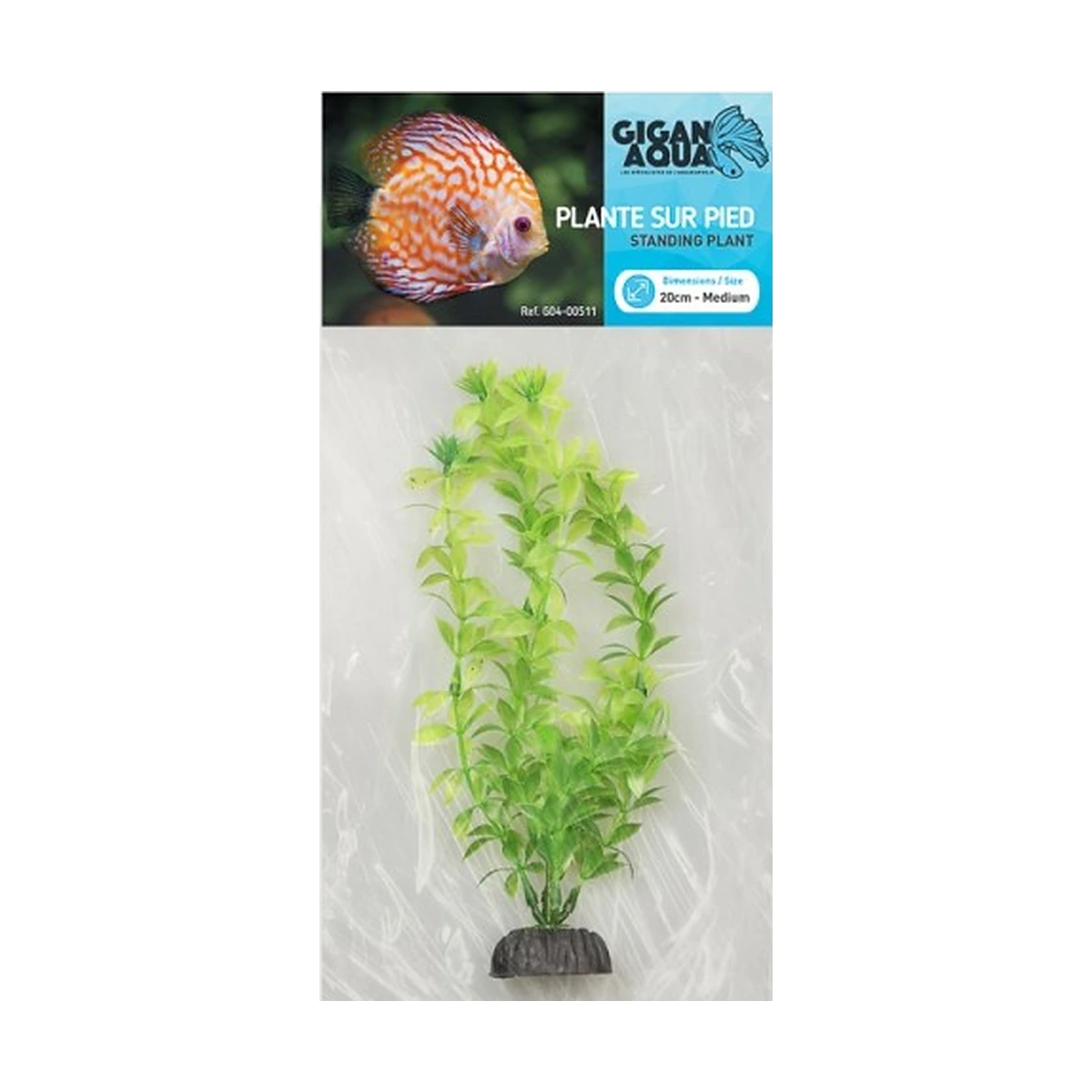Planta Nº511 – 20Cm