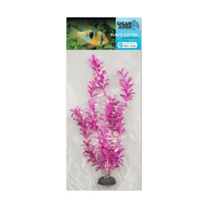 Planta Nº512 – 30Cm