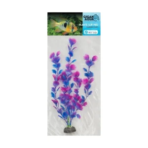 Planta Nº513 – 30Cm