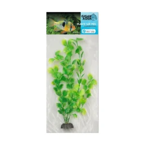 Planta Nº516 – 30Cm