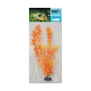 Planta Nº517 – 30Cm