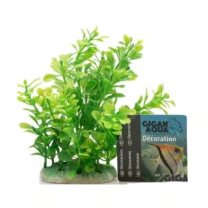 Planta Nº518 – 12Cm