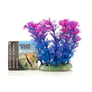Planta Nº520 – 12Cm
