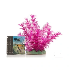 Planta Nº522 – 12Cm