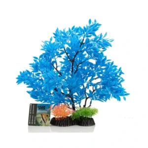 Planta Nº533 – 28Cm
