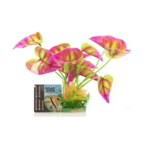 Planta Nº539 – 18 Cm A 22Cm