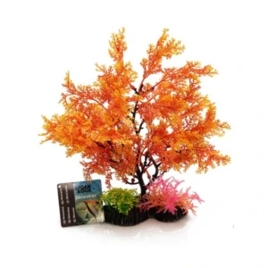 Planta Nº543 – 24Cm