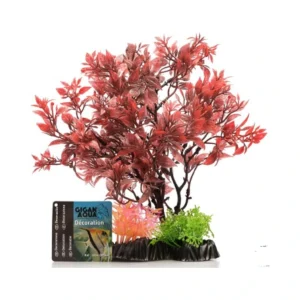 Planta Nº544 – 24Cm – 2.31