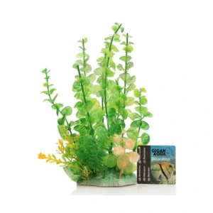 Planta Nº550 – 24Cm
