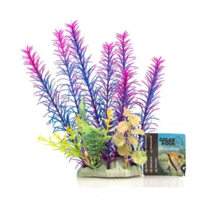 Planta Nº551 – 24Cm