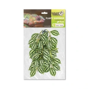 Planta Suspendida 1 Nº 252 (Altura 30 Cm)