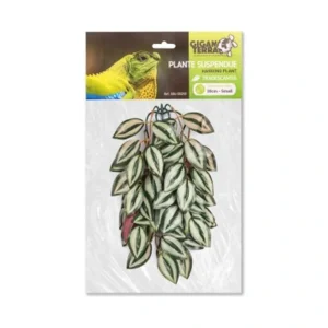 Planta Suspendida 2 Nº253 (Altura 30 Cm)