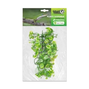 planta suspendida para decoración de terrarios