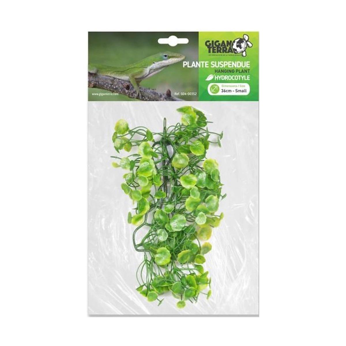 planta suspendida para decoración de terrarios